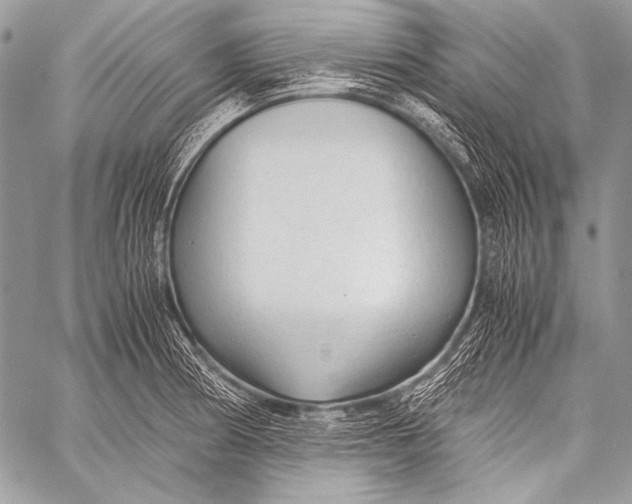 X0000057561186200510141341