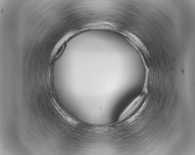 X0000057561196200510141341