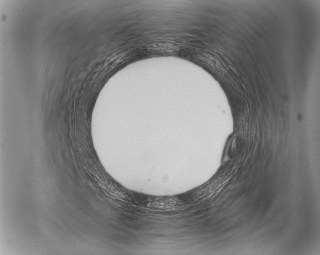 X0000057561201200510141340