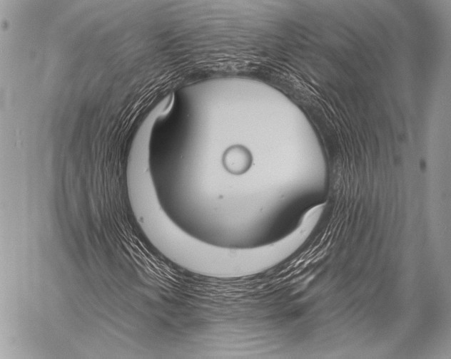 X0000057561202200510141340
