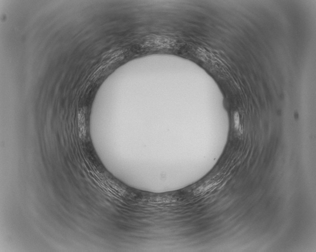 X0000057561203200510141340