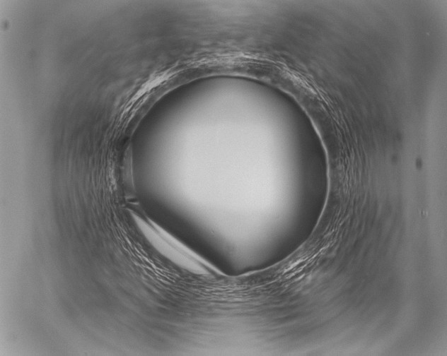 X0000057561206200510141340