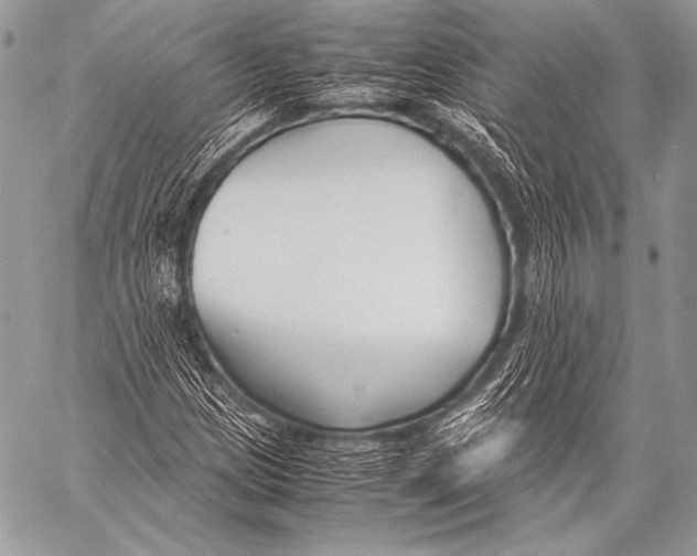 X0000057561209200510141340