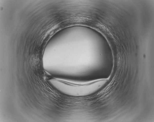 X0000057561210200510141340