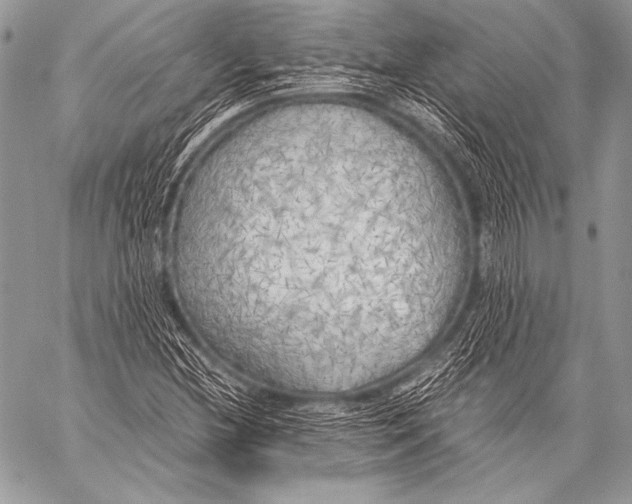 X0000057561212200510141340