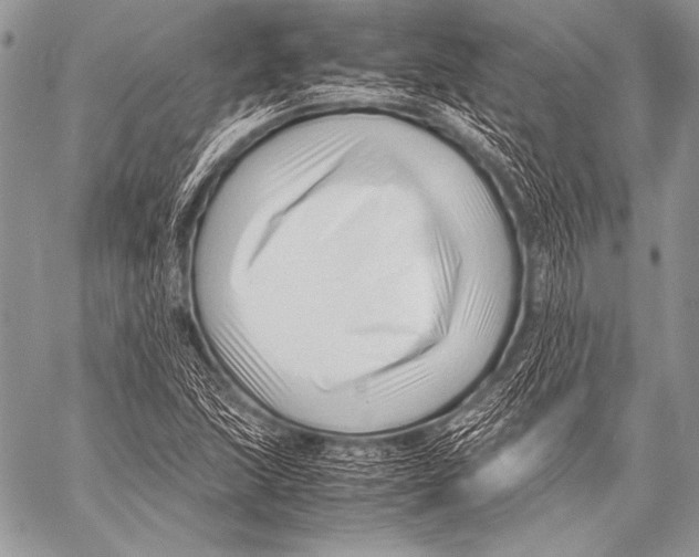 X0000057561215200510141340