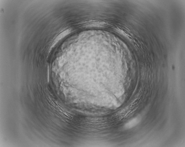 X0000057561219200510141340