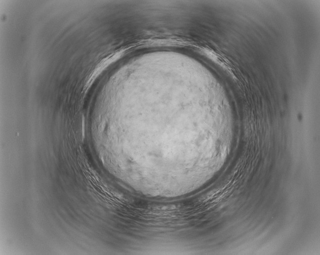 X0000057561221200510141340
