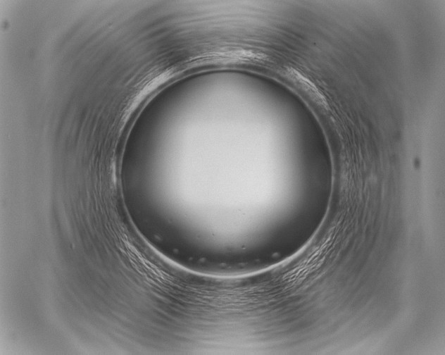 X0000057561226200510141340