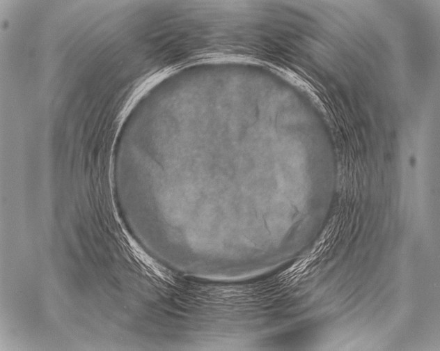 X0000057561231200510141340