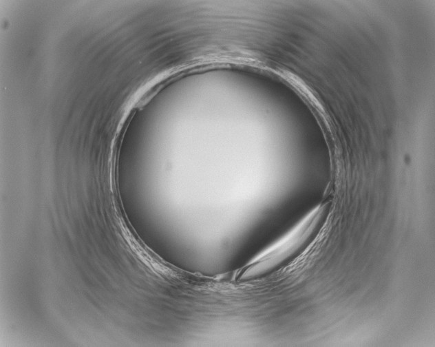 X0000057561246200510141340
