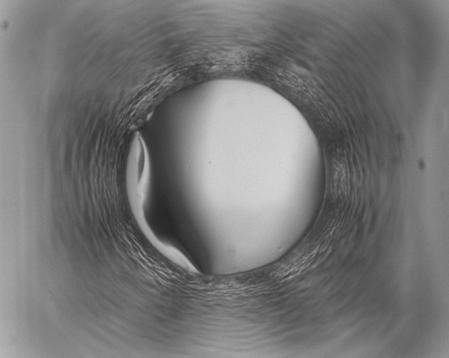 X0000057561250200510141340
