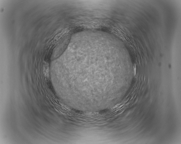 X0000057561251200510141340