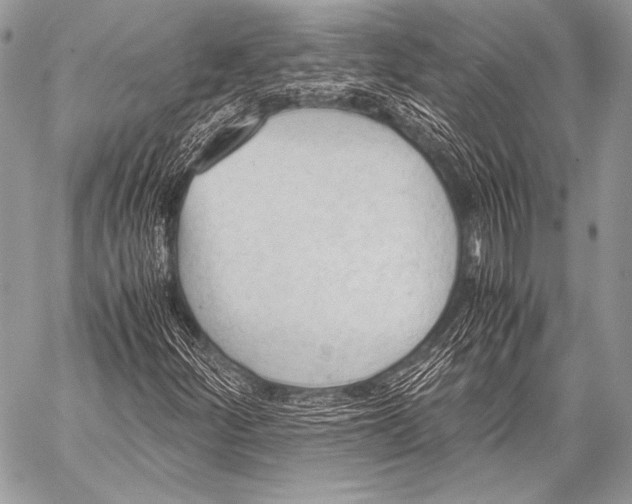 X0000057561252200510141340