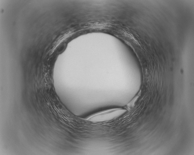 X0000057561256200510141340