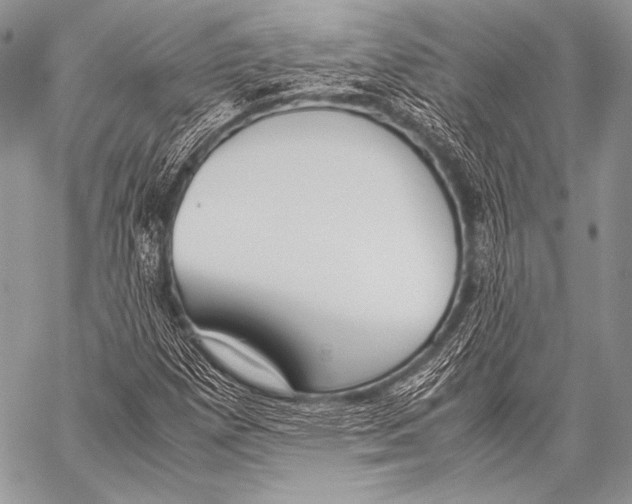 X0000057561257200510141340