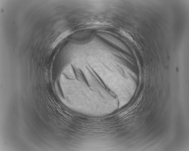 X0000057561259200510141340