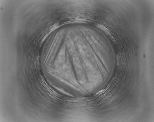 X0000057561260200510141340