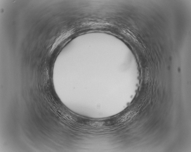 X0000057561261200510141339