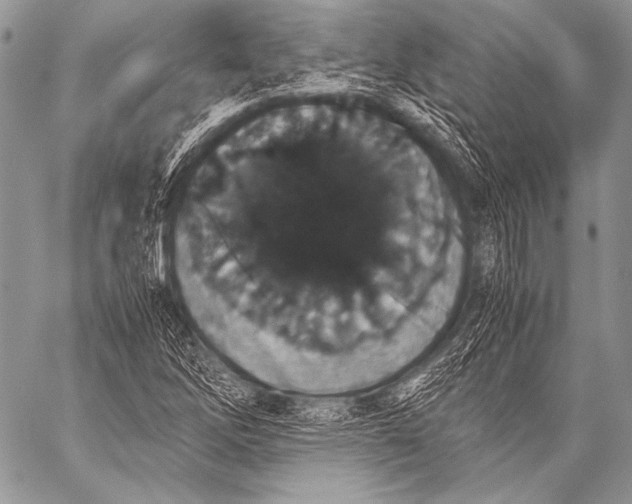 X0000057561262200510141339