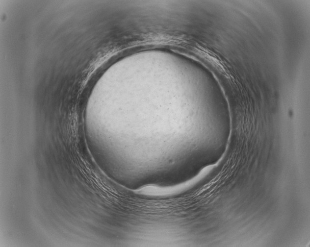 X0000057561264200510141339