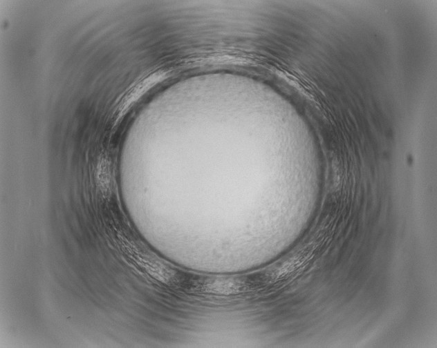 X0000057561266200510141339