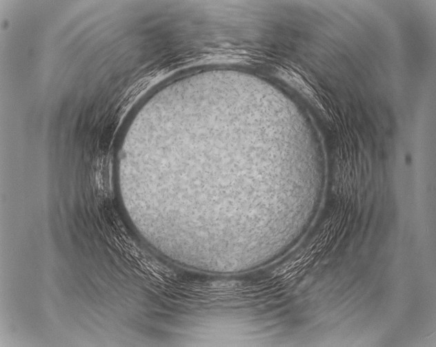 X0000057561268200510141339