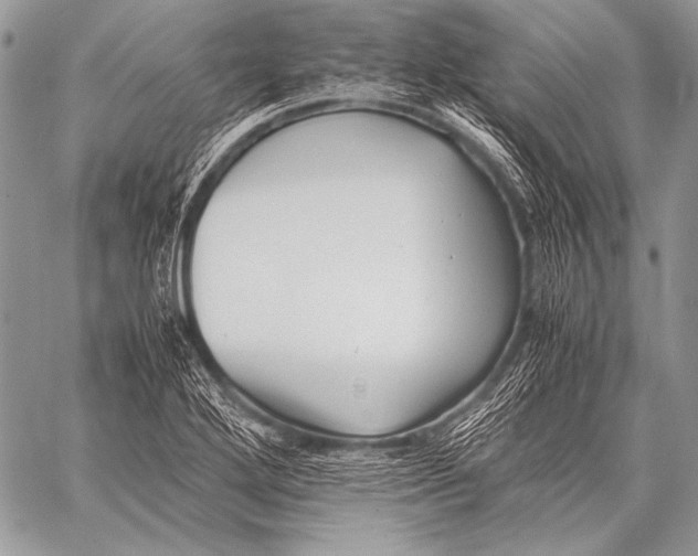 X0000057561272200510141339