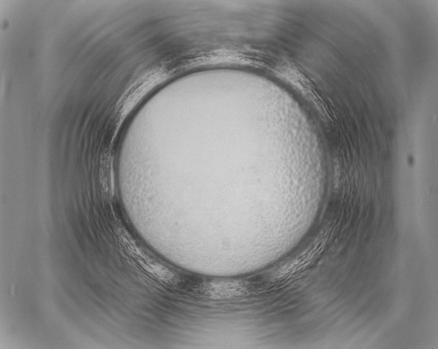 X0000057561274200510141339
