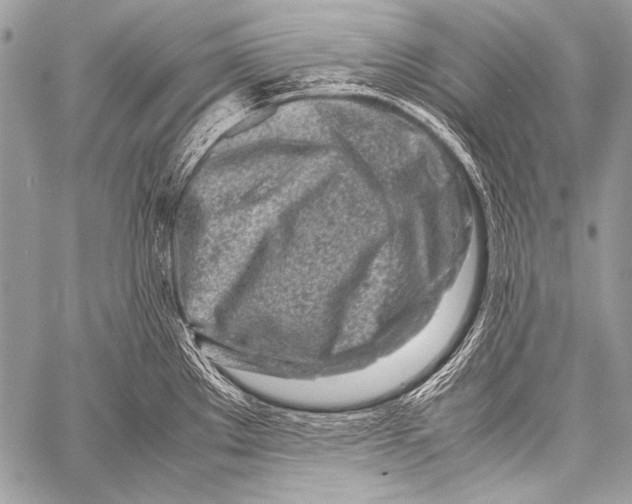 X0000057561289200510141339