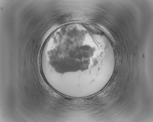 X0000057561291200510141339