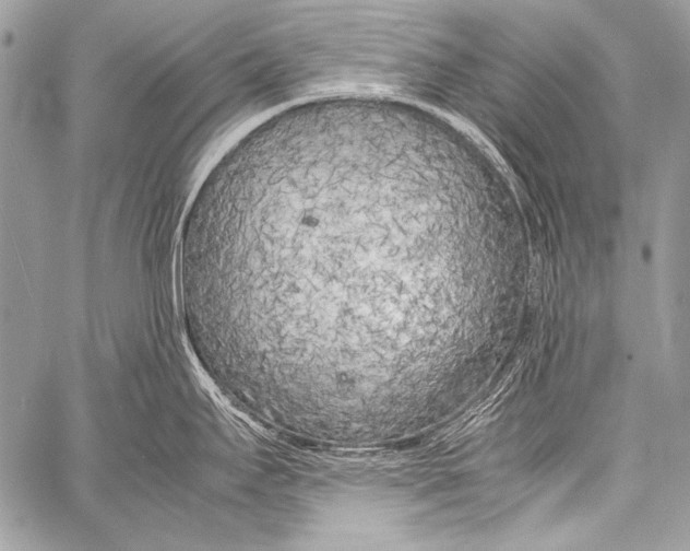 X0000057561295200510141339