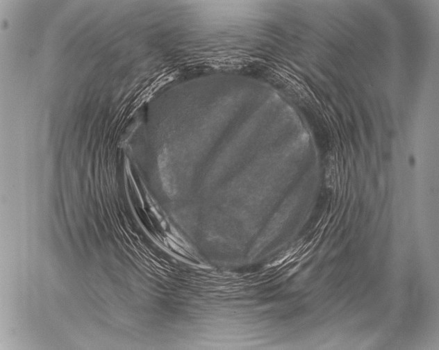 X0000057561298200510141338