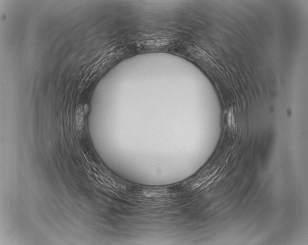 X0000057561299200510141338
