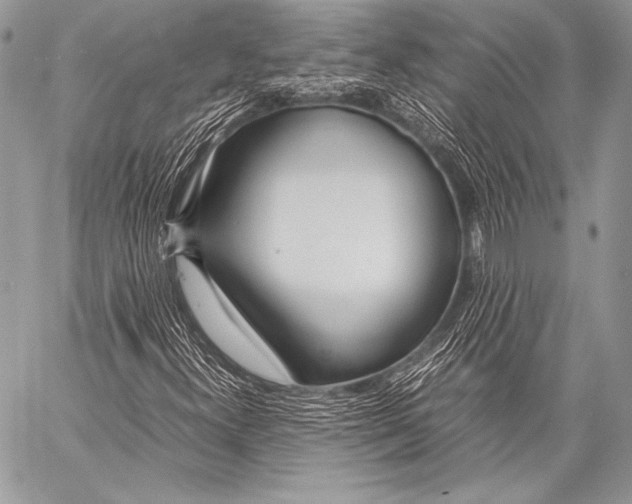 X0000057561300200510141338