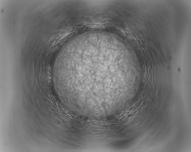 X0000057561301200510141338