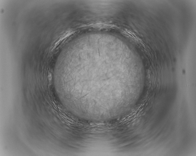 X0000057561302200510141338