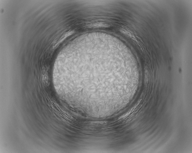 X0000057561305200510141338
