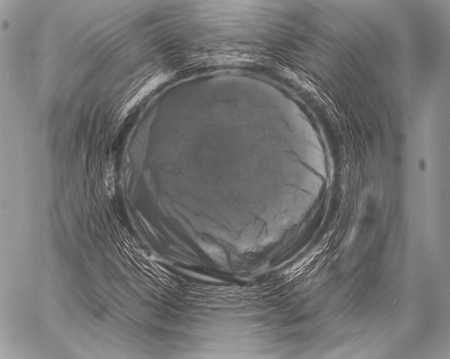X0000057561306200510141338