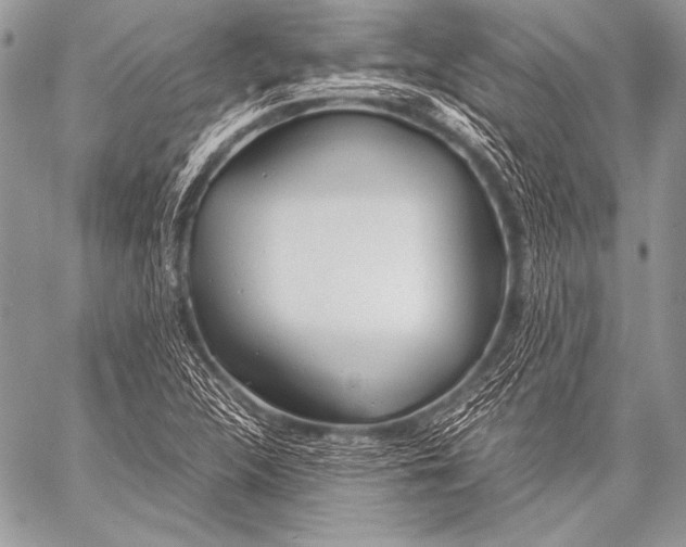 X0000057561312200510141338