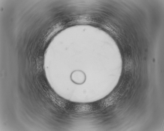 X0000057561314200510141338