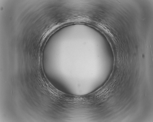 X0000057561316200510141338