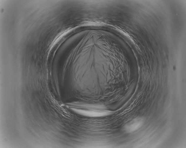 X0000057561319200510141338