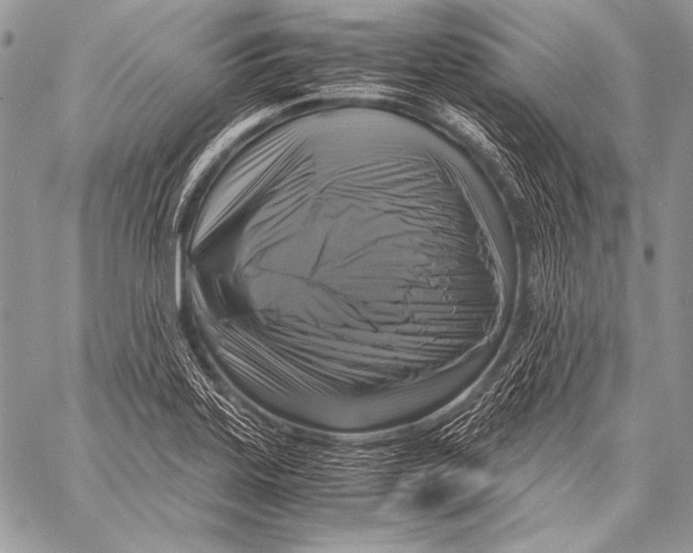 X0000057561323200510141339