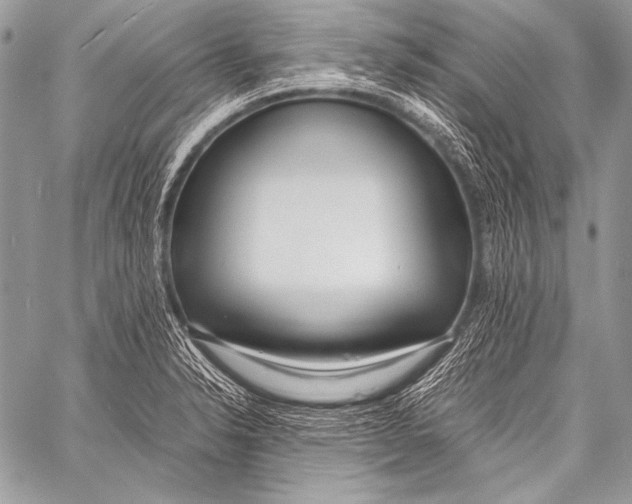 X0000057561326200510141339