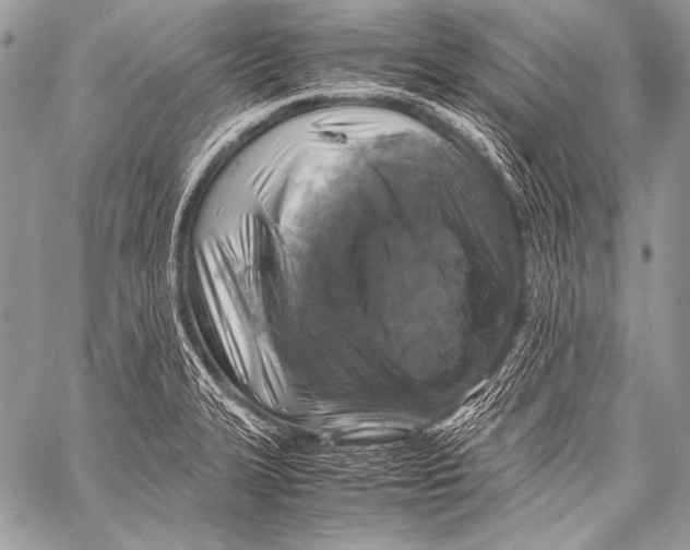 X0000057561327200510141339
