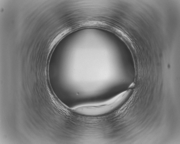 X0000057561330200510141339