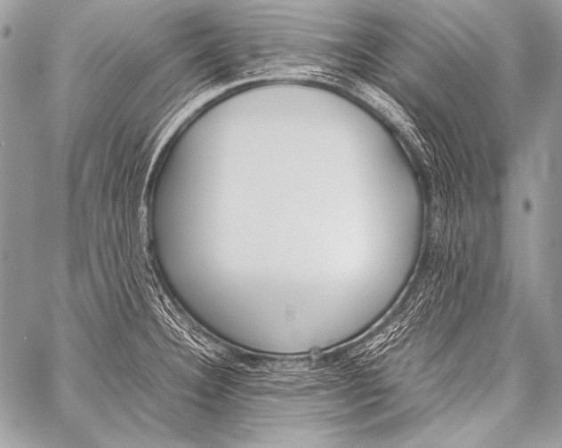 X0000057561332200510141339
