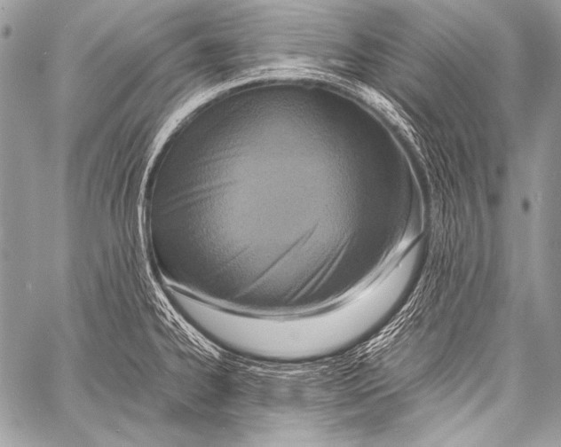 X0000057561334200510141339