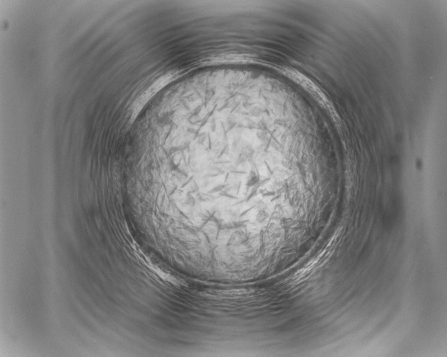 X0000057561337200510141339